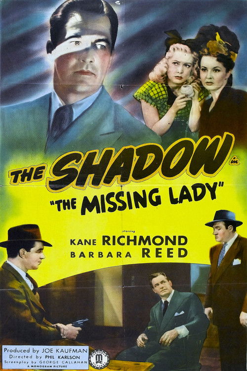 The Missing Lady Poster