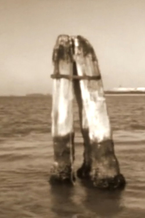 Bricola Poster
