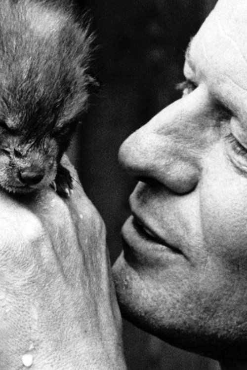 Året på ön Poster