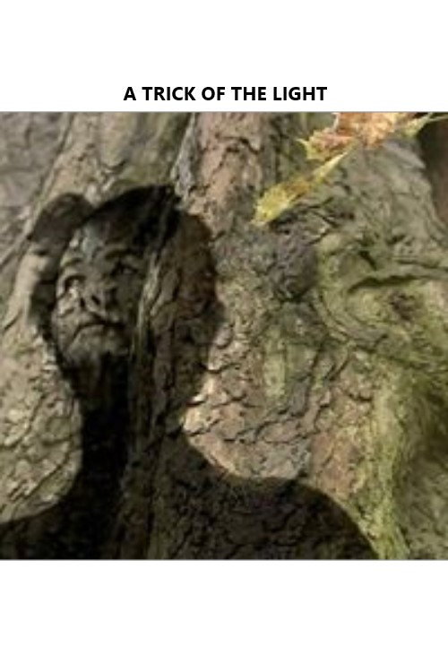 A Trick of the Light Poster