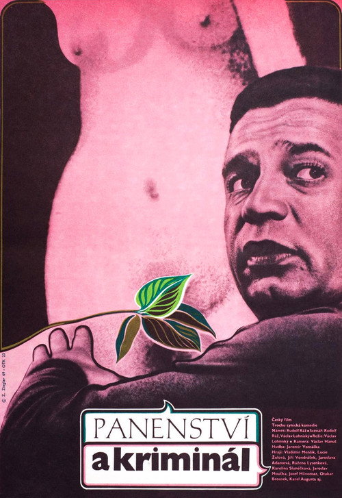 Panenství a kriminál Poster