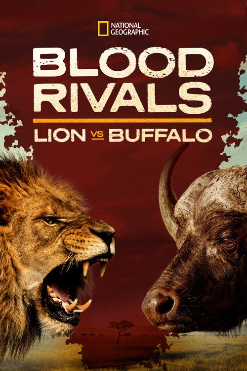 Blood Rivals: Lion vs Buffalo Poster