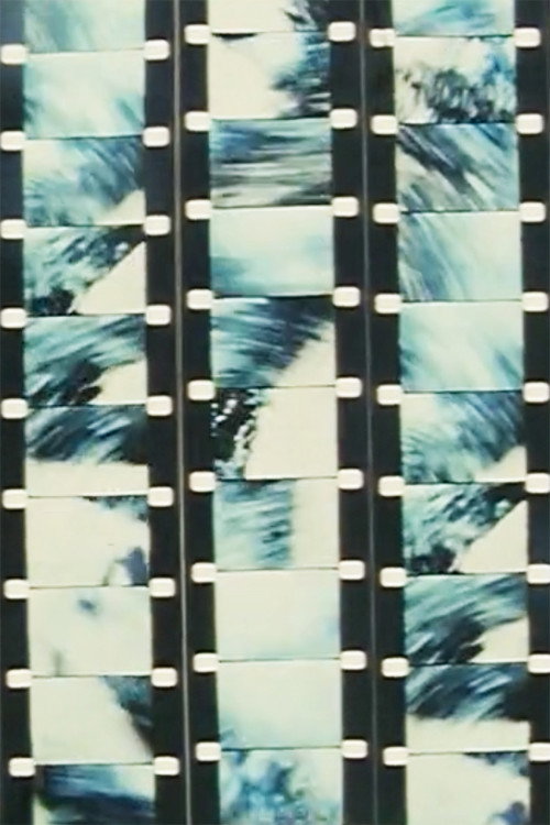Zenith Poster
