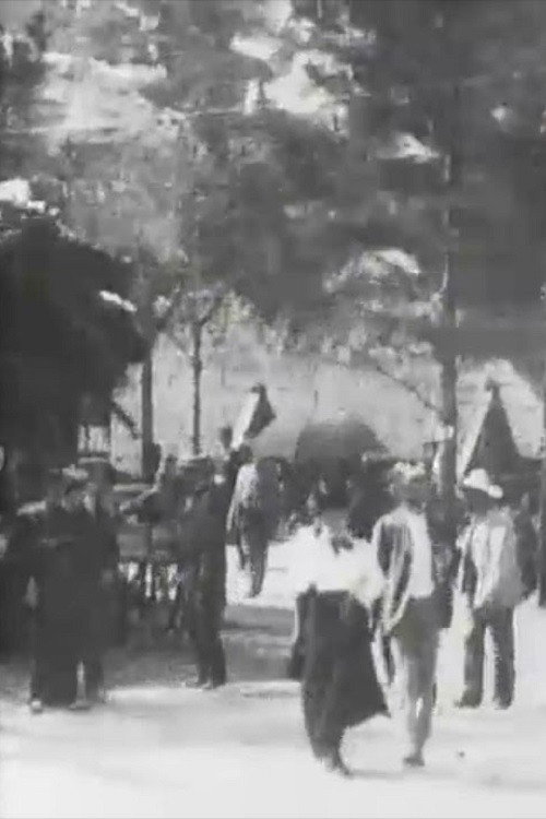 Swiss Village, No. 2 Poster