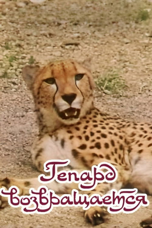 The Cheetah Comes Back Poster