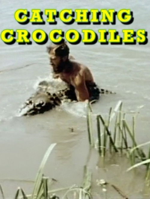 Catching Crocodiles Poster