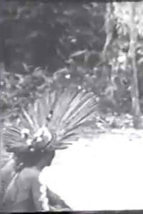 Cerimônias Fúnebres entre os Índios Bororo Poster