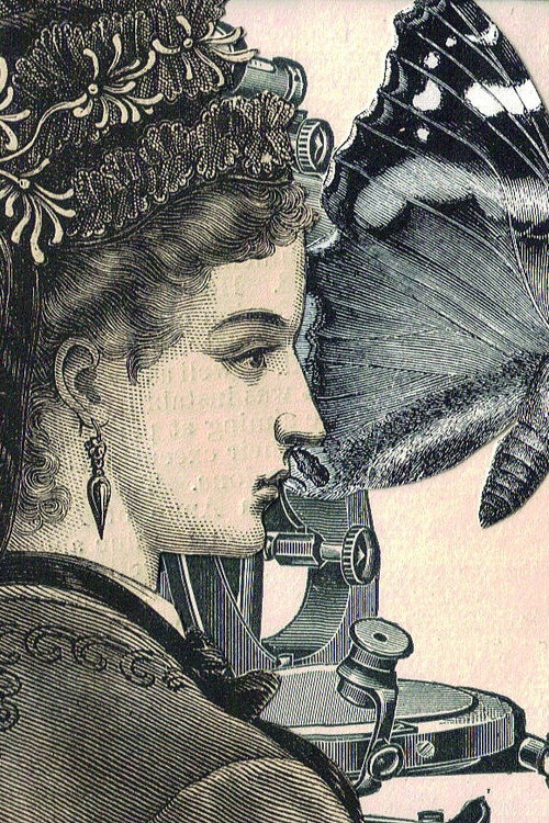 Beyond Enchantment Poster