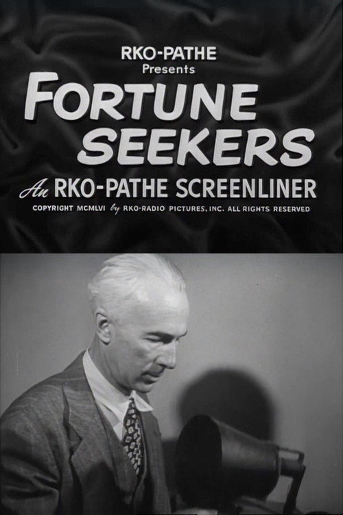 Fortune Seekers Poster