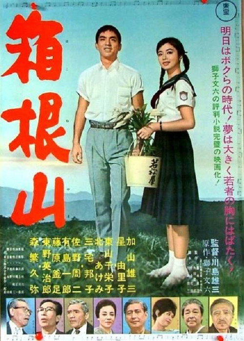 Mount Hakone Poster