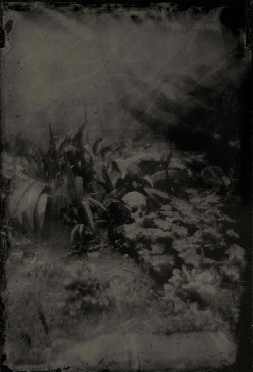 Boogie & Demons Poster