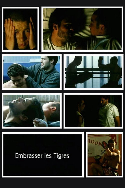 Kissing Tigers Poster