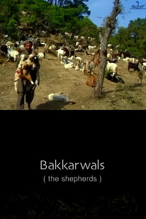 the shepherds Poster
