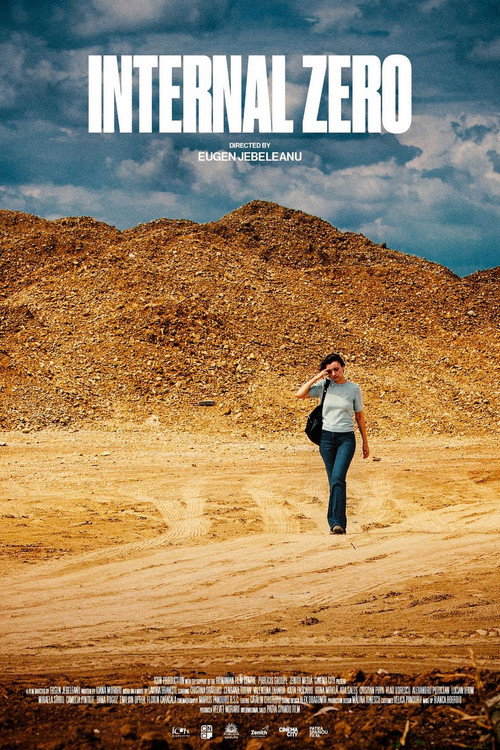 Internal Zero Poster