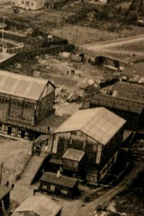 Nordisk Films Kompagnis studier Poster