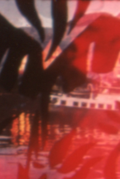 Jungle Madness Poster