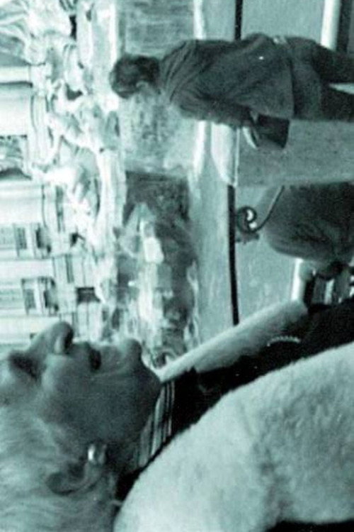 THE INTERPRETER OF BLACK AND WHITE FILMS Poster