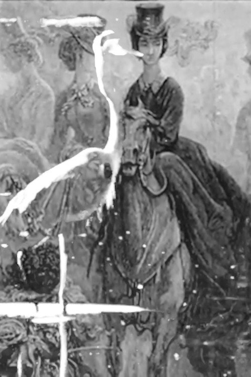 Some Thoughts On The Common Toad Poster