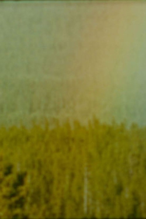 Bird Poster