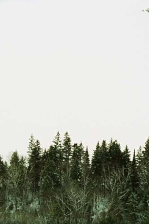 Algonquin Park, Early March Poster