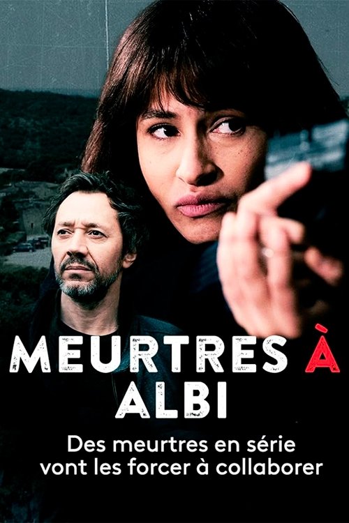Meurtres à Albi Poster