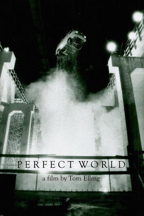 Perfect World Poster