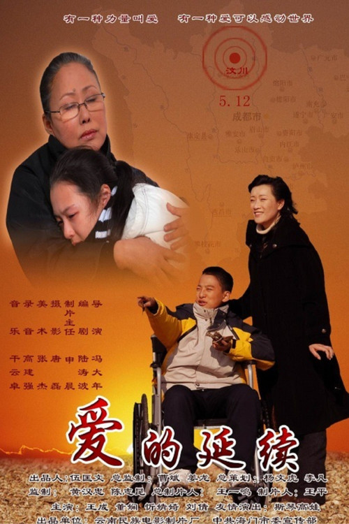 爱的延续 Poster
