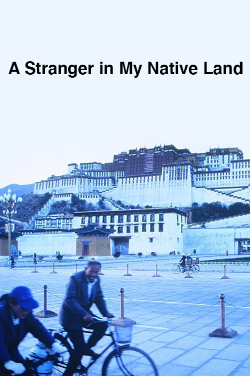 A Stranger in My Native Land Poster