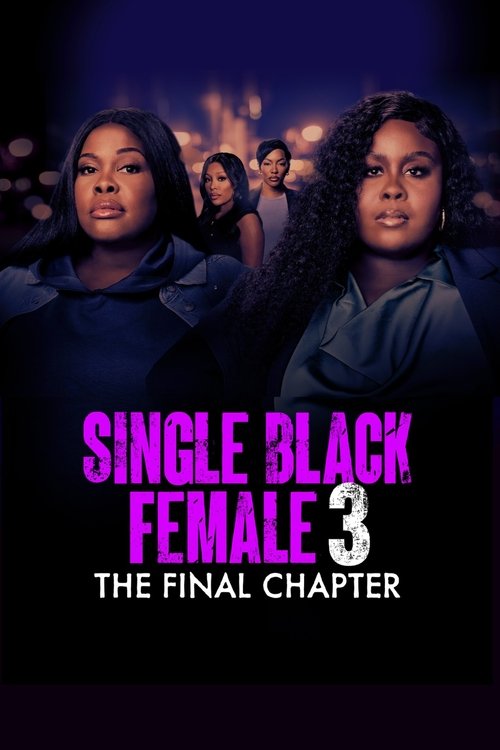 Single Black Female 3: The Final Chapter Poster