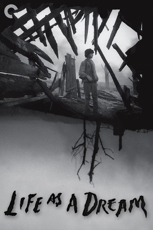 Life as a Dream Poster