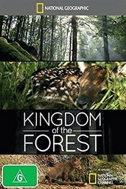 Kingdom of the Forest Poster