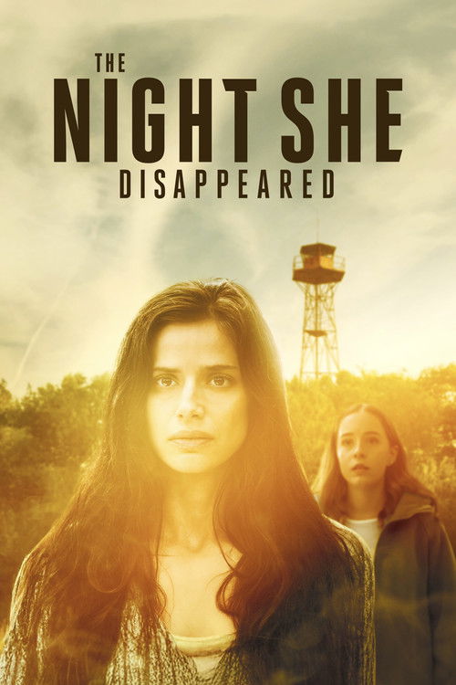 The Night She Disappeared Poster