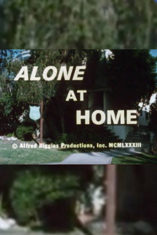 Alone At Home Poster