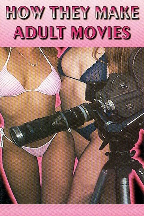 How They Make Adult Movies Poster