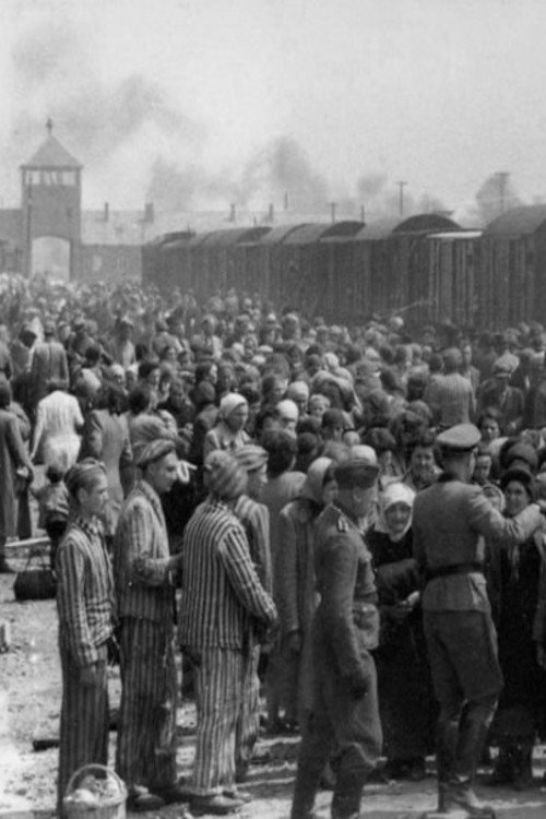 Dr Münch - läkare i Auschwitz Poster