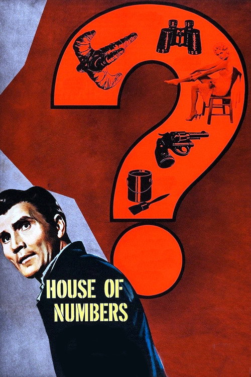 House of Numbers Poster