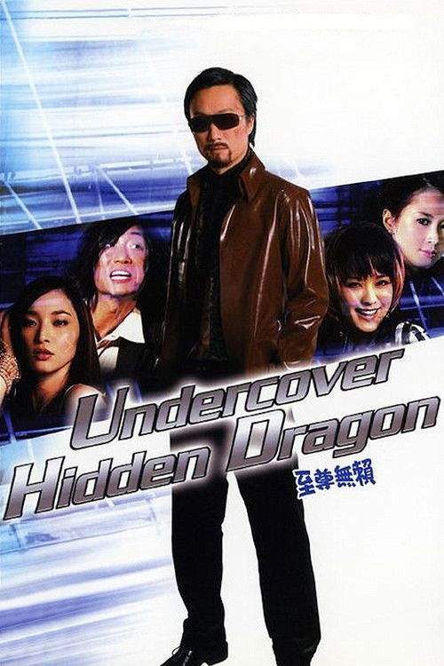 Undercover Hidden Dragon Poster