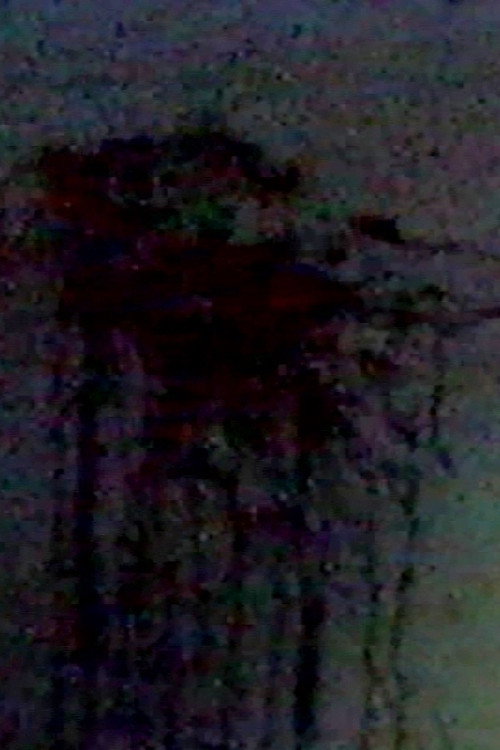 My Bloody Dream - Verse II Poster