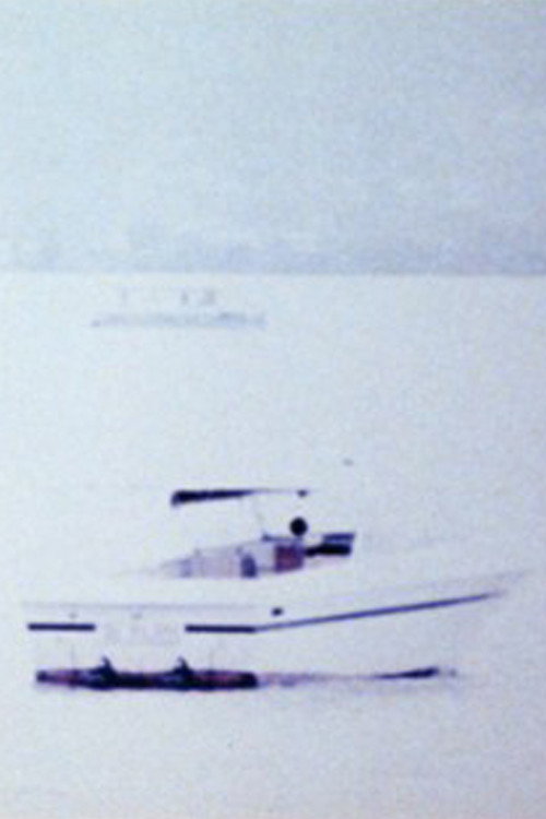 River Ghost. Hudson River Diary Book: IV Poster