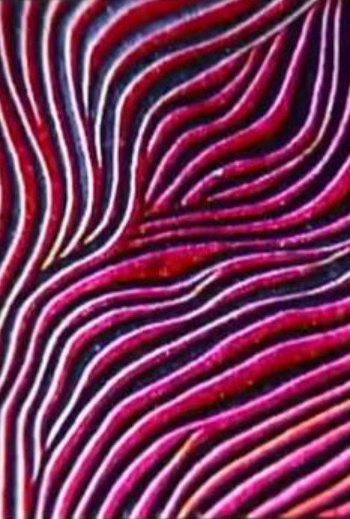 Abstract Patterns Poster