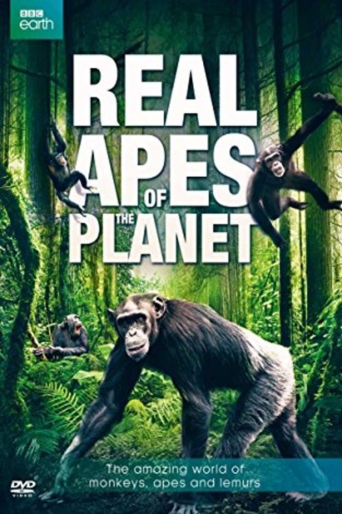 The Real Apes of the Planet Poster