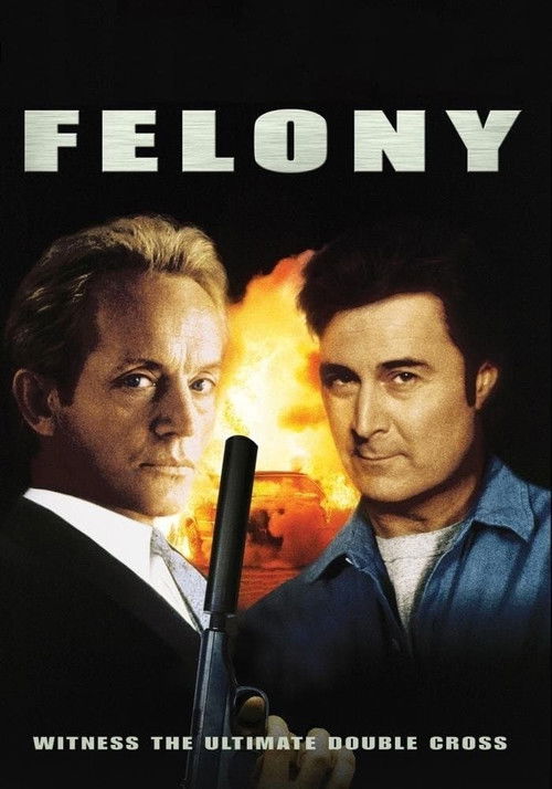 Felony Poster