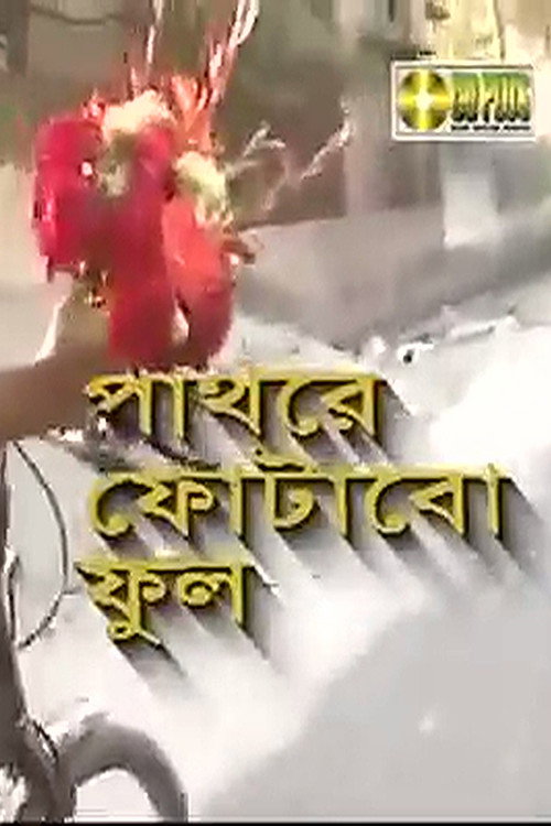 Pathore Photabo Phool Poster