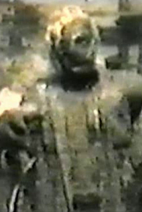 The House of the Living Dead: The Injection 2 Poster