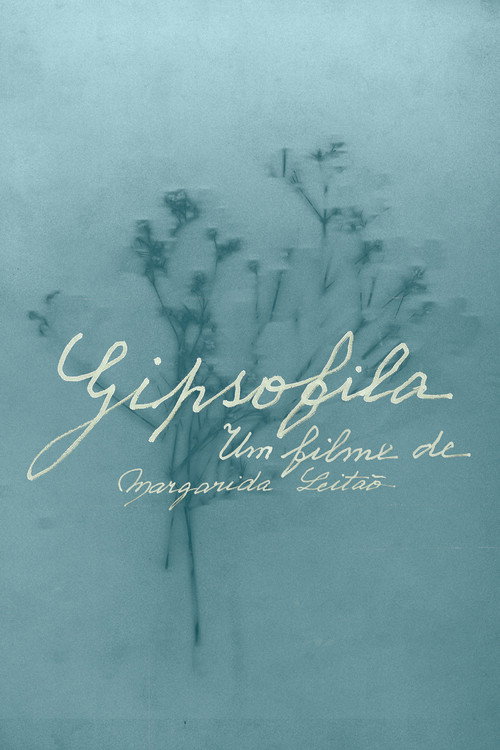 Gypsophila Poster