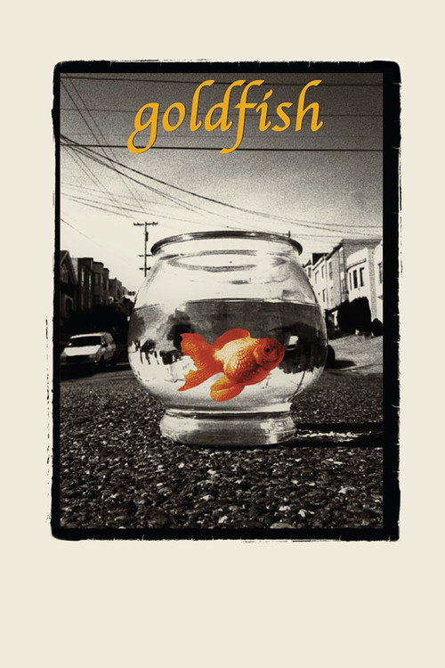 Goldfish Poster