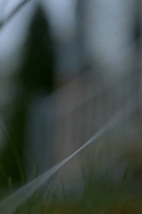 50 Feet of String Poster