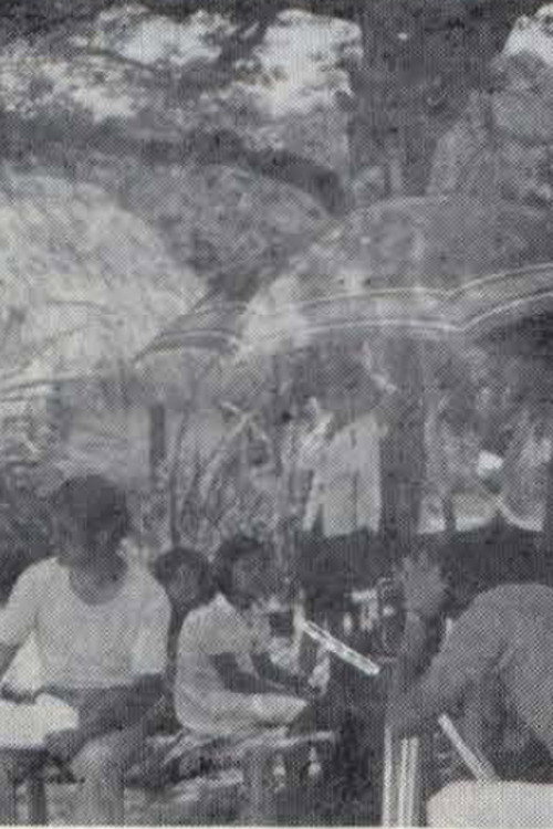 Llano y Contaminación Poster