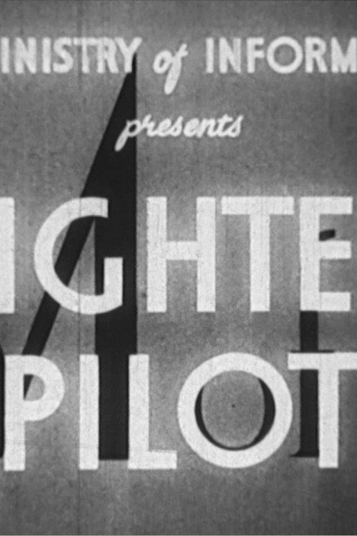 Fighter Pilot Poster