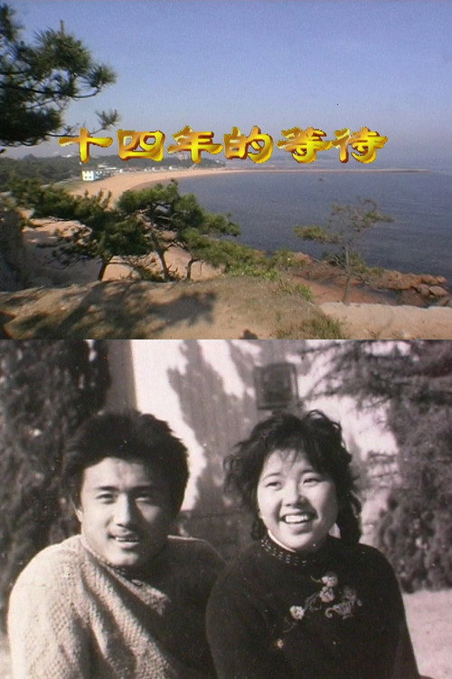 The Fourteen-Year Wait Poster